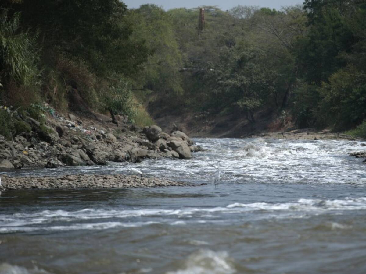 Hallan cuatro cuerpos sin vida a orillas del río Magdalena