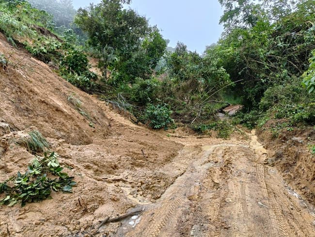 Foto: Gobernación Huila