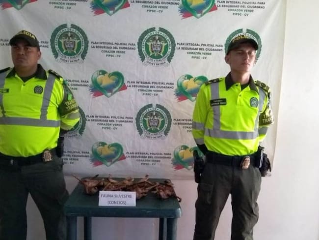Incautan conejos transportados de manera ilegal en Bolívar