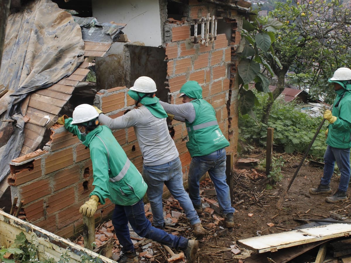 Demolieron 10 construcciones ilegales del cerro Pan de Azúcar en Medellín