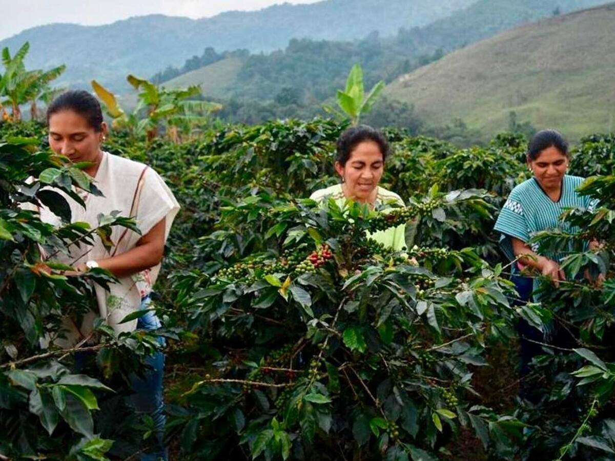 Tolima, en el top 5 de los departamentos con mayor crecimiento económico