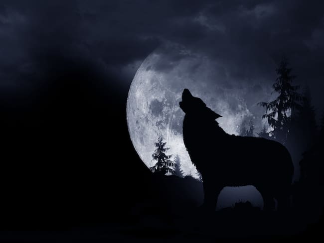 Luna de Lobo - Imagen de referencia - Getty Images