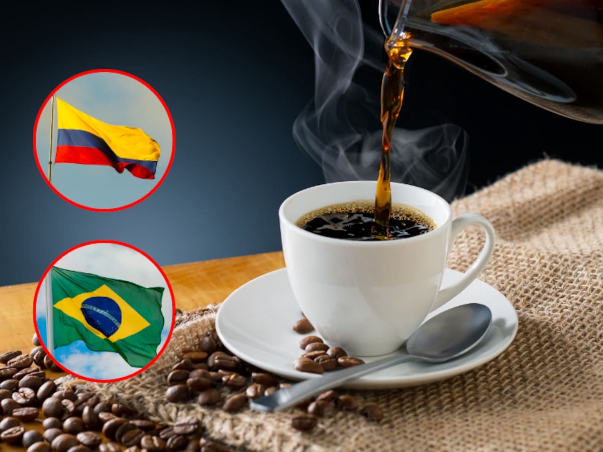 ¿Es mejor el café de Colombia o el de Brasil? Opinión de expertos vs. respuesta de la IA