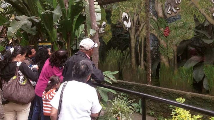 Visite el Zoológico Santacruz de Cundinamarca