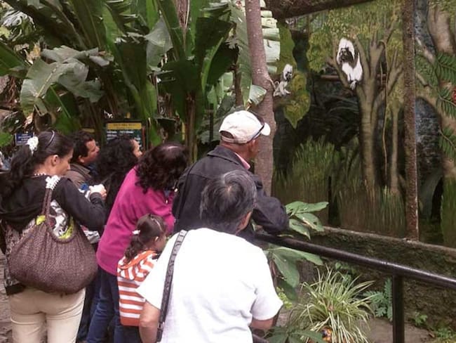 Visite el Zoológico Santacruz de Cundinamarca