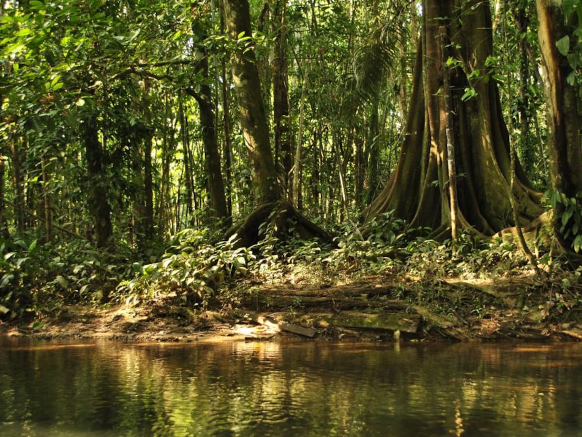 La fantasía del Putumayo se toma a Bogotá en Corferias