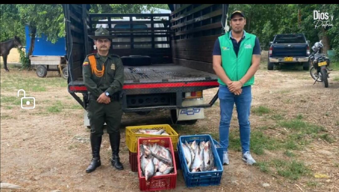 Estos operativos, generan seguridad para los consumidores en esta Semana Santa.