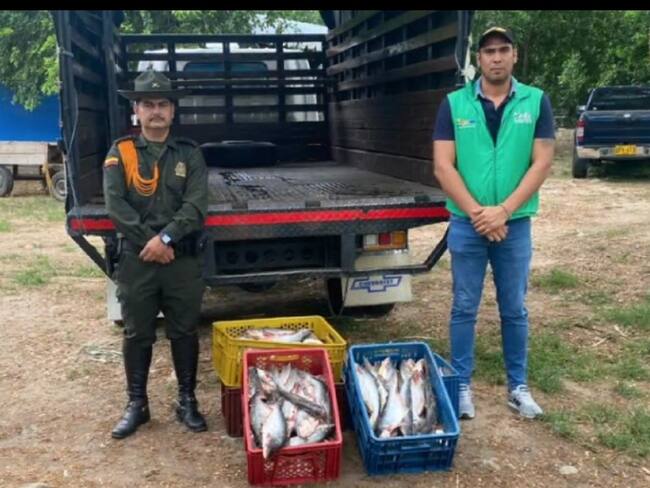 Estos operativos, generan seguridad para los consumidores en esta Semana Santa.