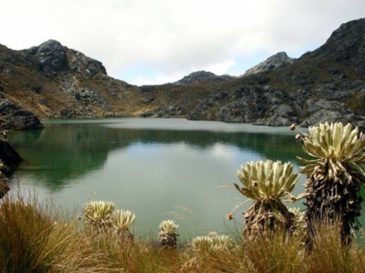 Minesa solicitará una nueva licencia ambiental el próximo mes