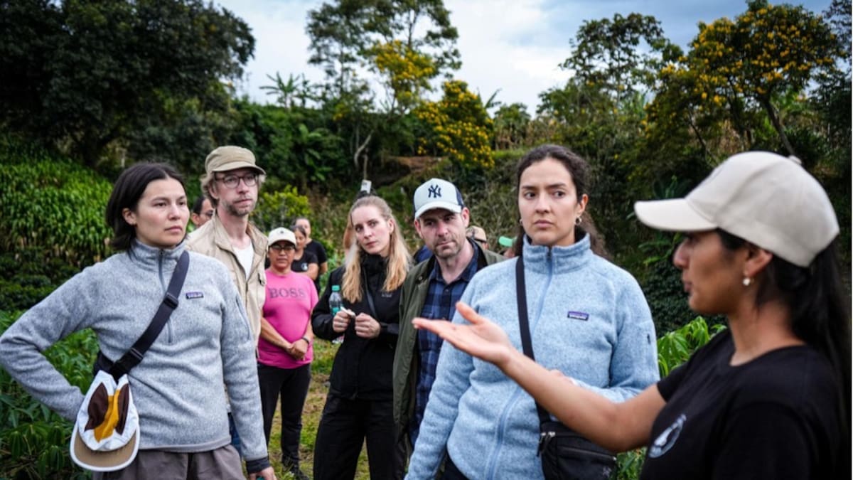 Café de Nariño podría llegar a restaurantes y cafeterías de Dinamarca