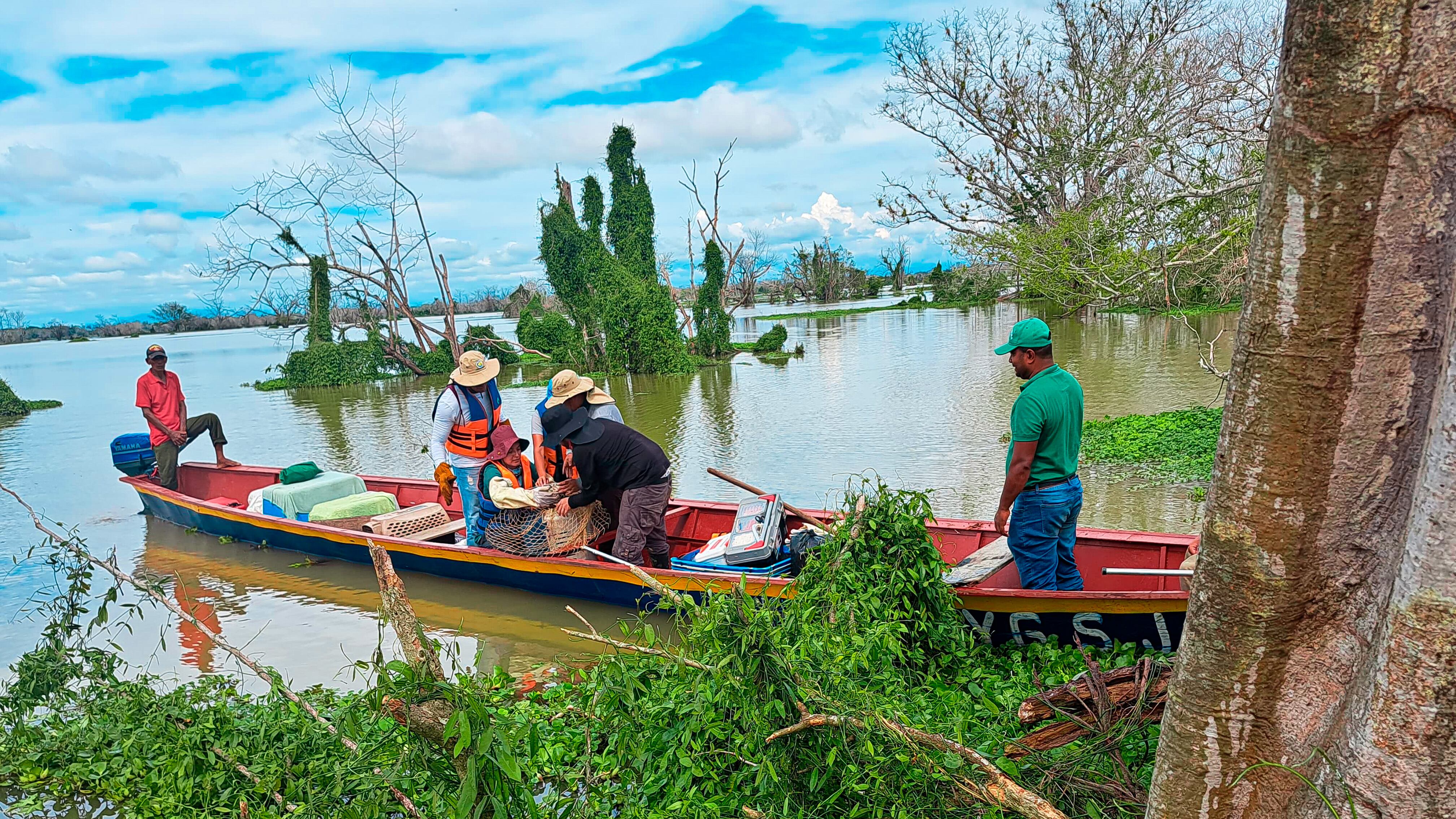 Rescate especies La Mojana- foto cortesía