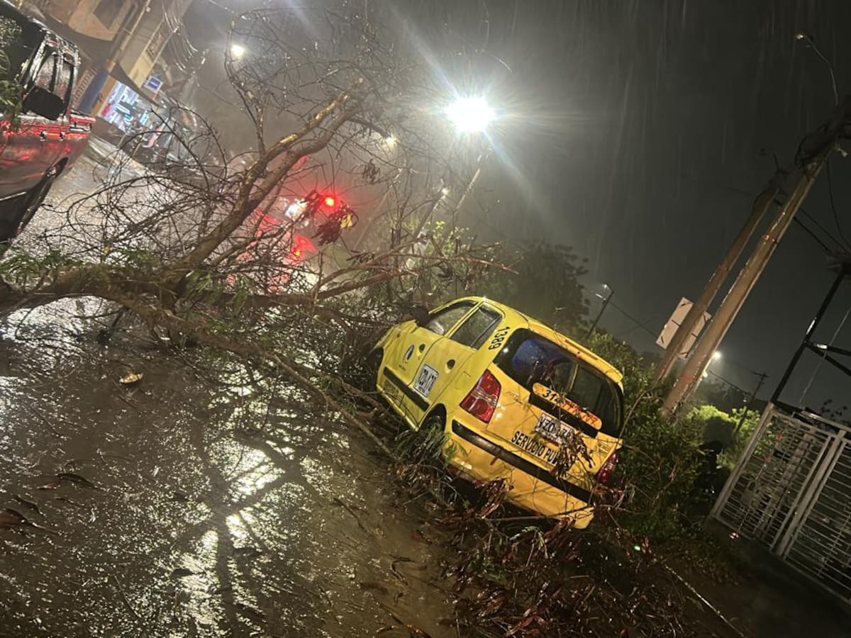 Fuertes lluvias causan estragos en la ciudad, pero sin víctimas fatales
