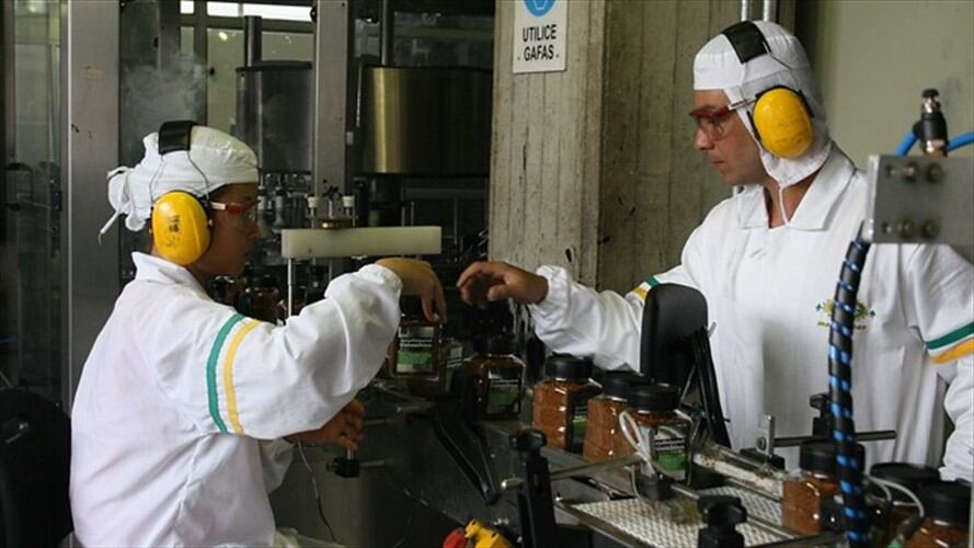 Cafeteros aprobaron importaciones del grano para maximizar rentabilidad de caficultores. Foto: Colprensa