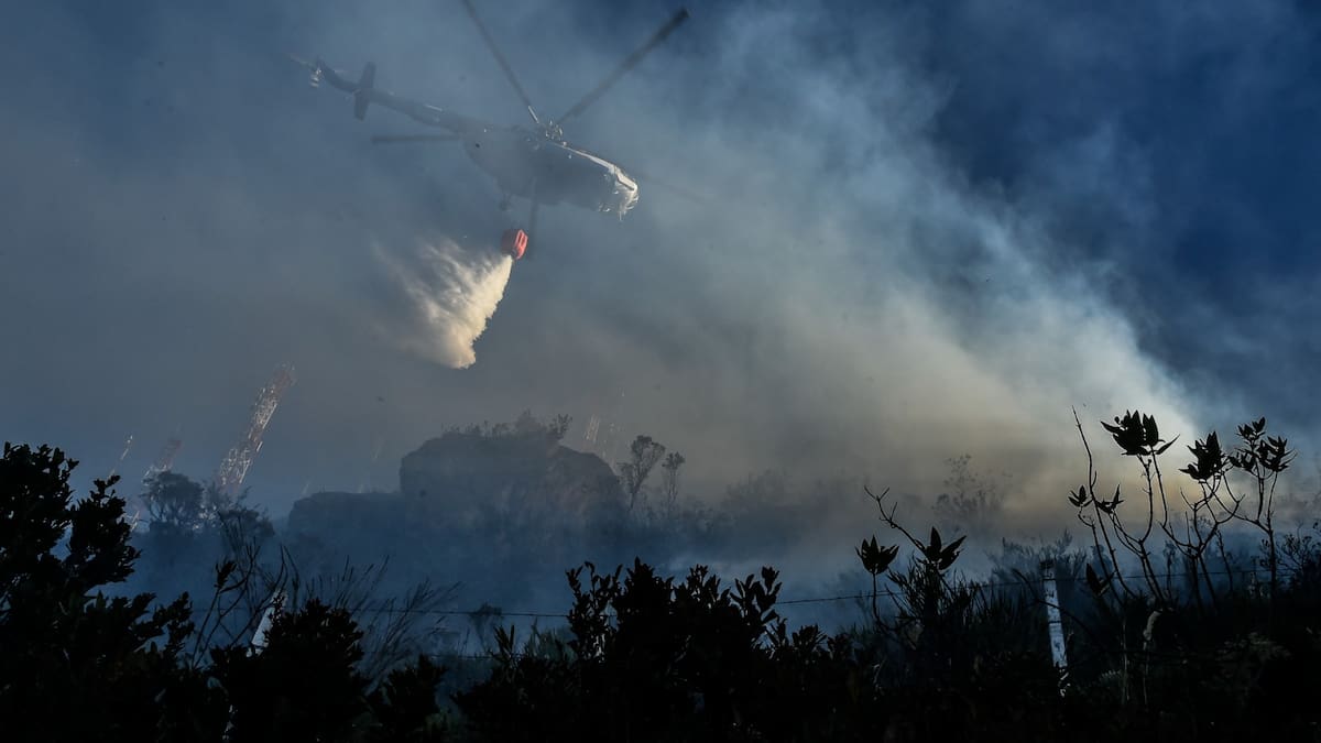 Petro activará protocolos de ayuda internacional para enfrentar los incendios en el país