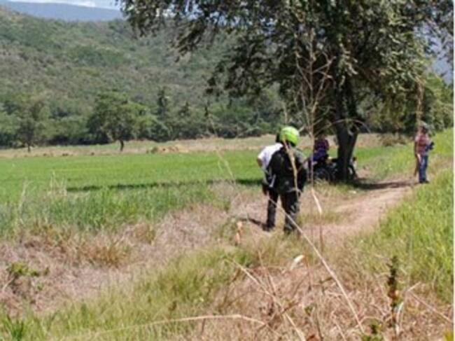 Foto: Coloprensa.