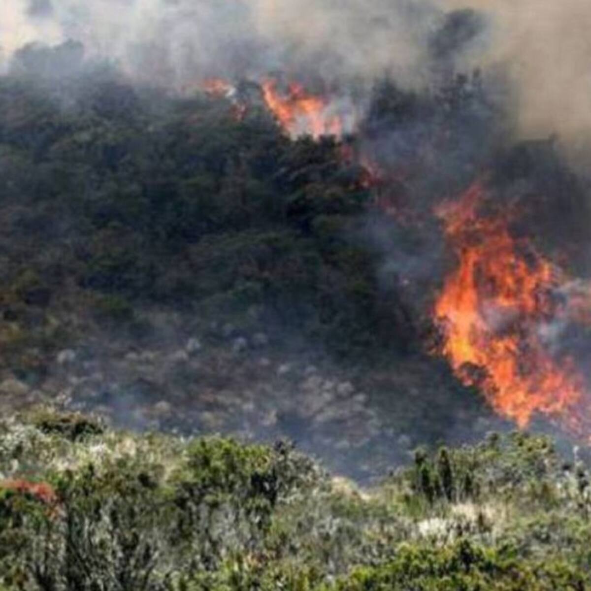 El Quindío está en alerta amarilla por incendios de cobertura vegetal