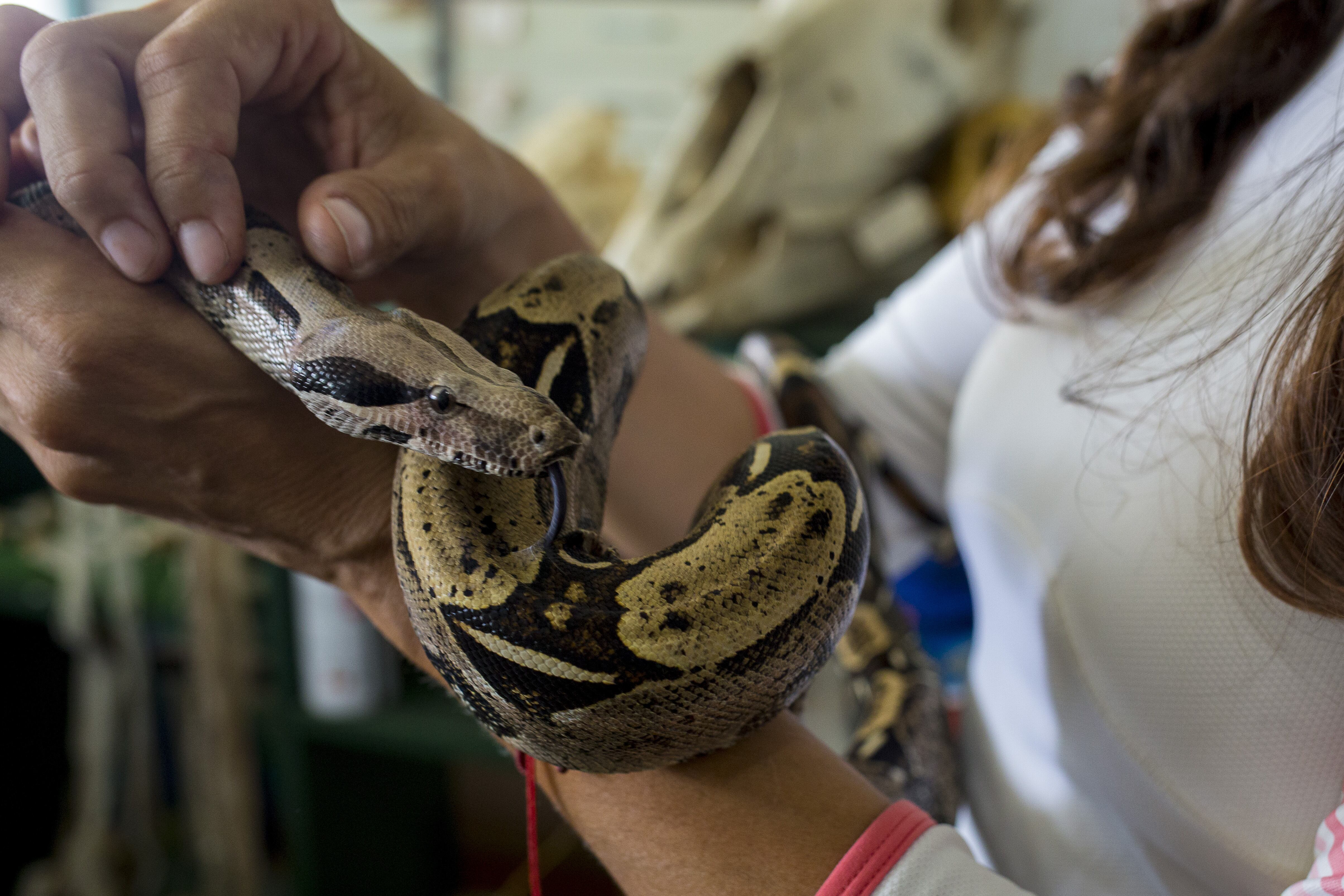 Imagen de referencia vía Pedro Rances Mattey/Anadolu Agency via Getty Images)