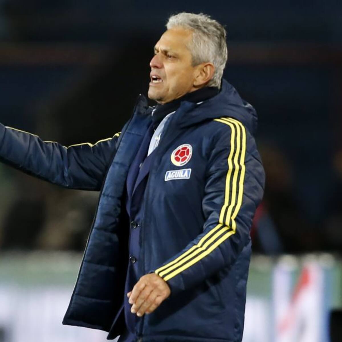 Reinaldo Rueda habló claro sobre el desempeño de Falcao y Borré
