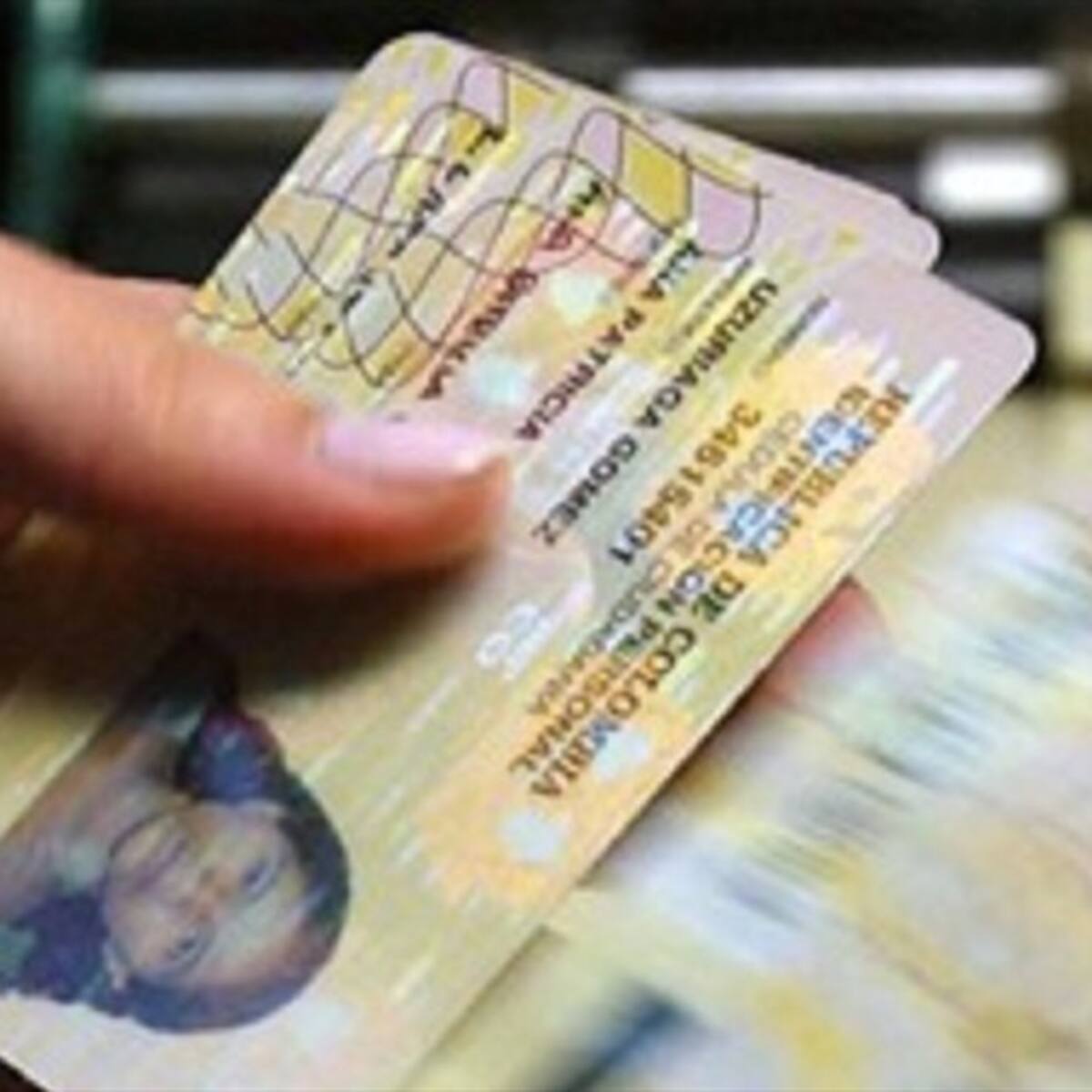 Curules de paz en Guaviare: Tribunal ordenó al CNE pronunciarse sobre denuncias de trashumancia