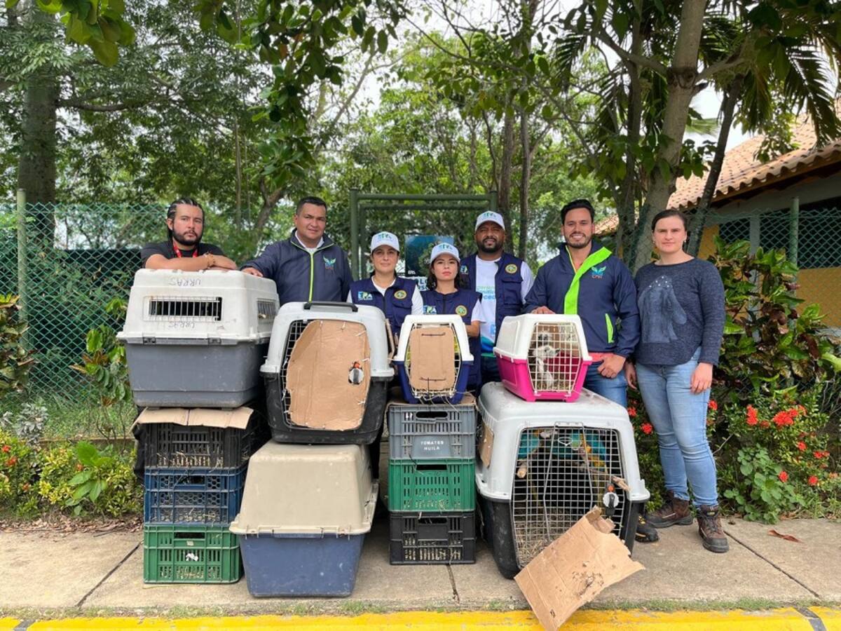 EPA Cartagena recibió animales silvestres decomisados en Cundinamarca
