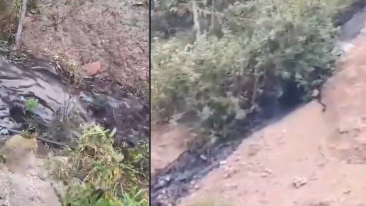 Atentado a oleoducto Caño Limón Coveñas: no se ha podido ingresar por falta de garantías