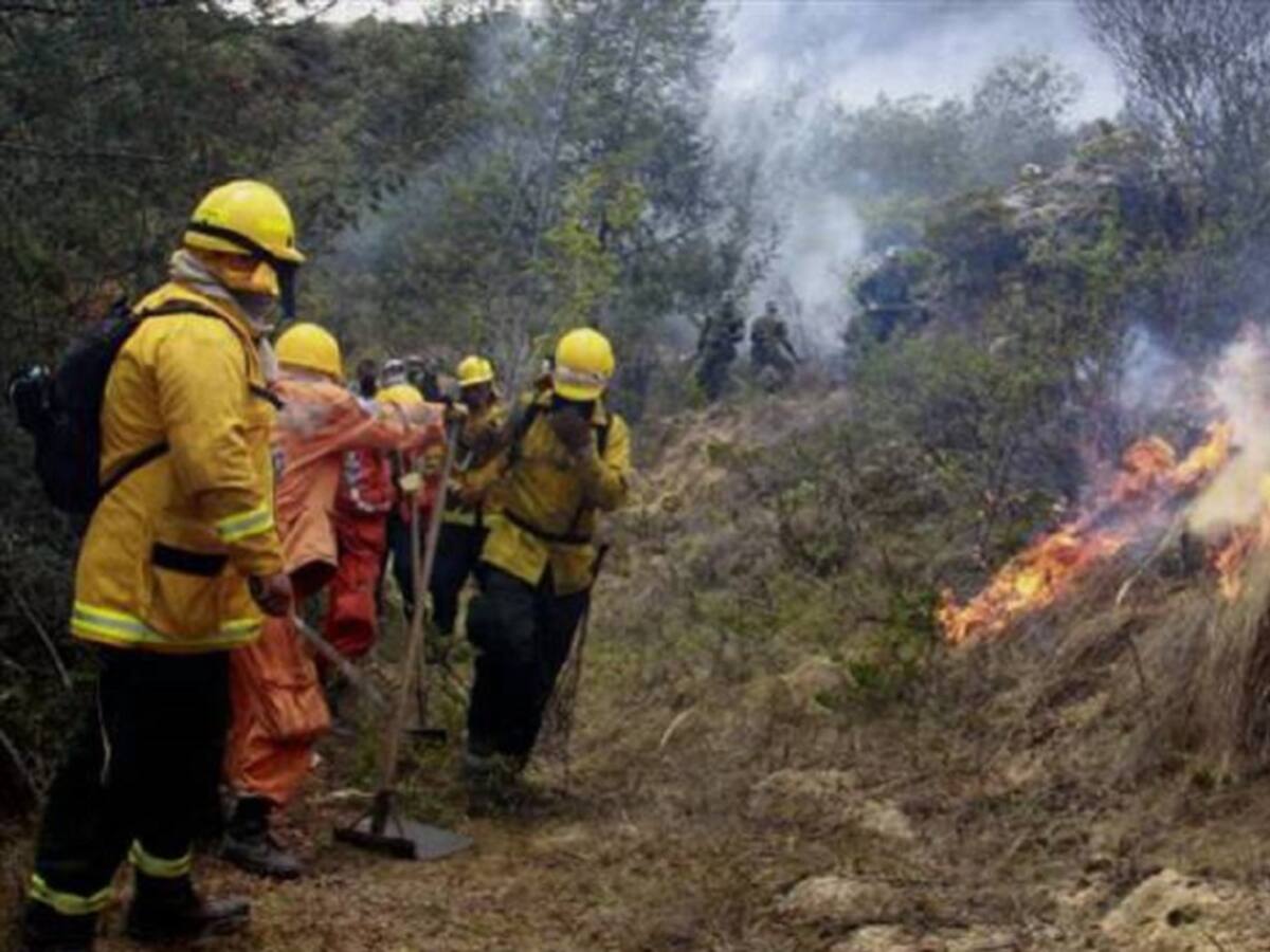 Organismos de emergencia alertas por riesgo de incendios