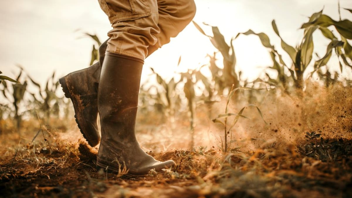 Aún hay tiempo para salvar los suelos de la contaminación por un agro mal manejado