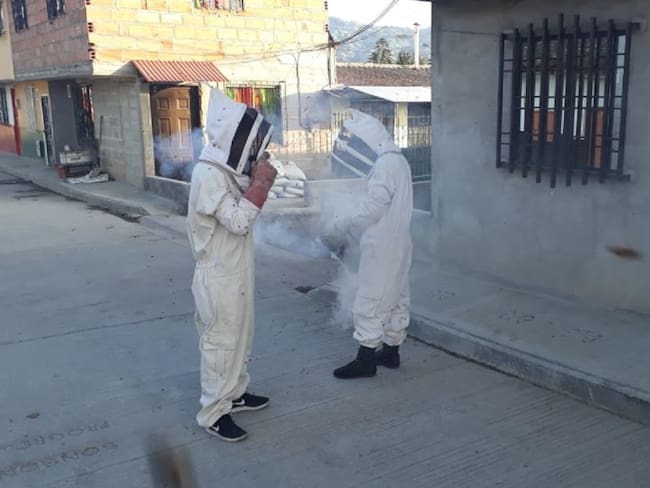 7 personas picadas por abejas africanizadas en Sonsón, Antioquia