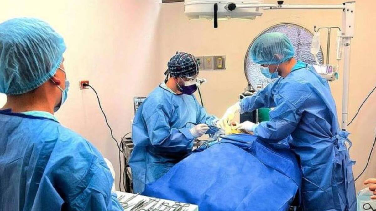 Mascotas tienen atención neurológica en el Hospital Veterinario de la U. de Caldas