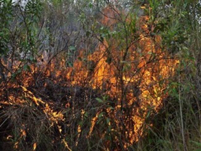 Alerta en seis municipios de Caldas por incendios forestales