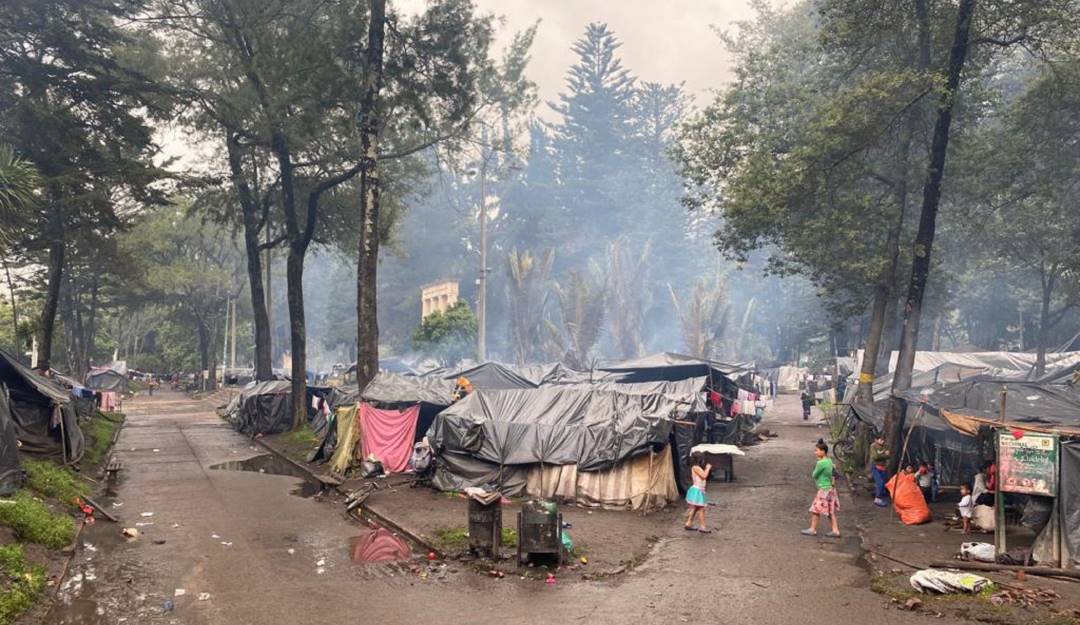 Claudia Camila Vargas 