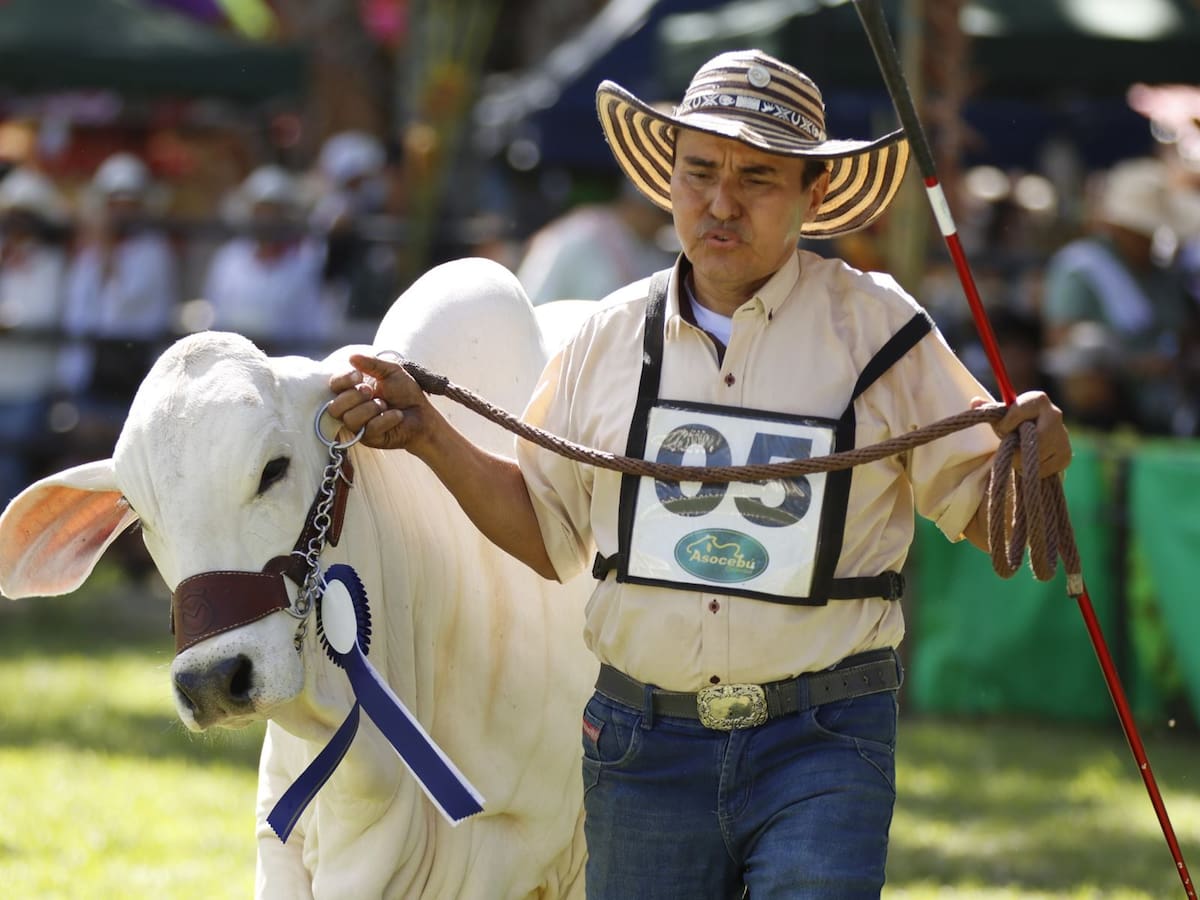 Aplazan Feria Agropecuaria de Ibagué por recomendación de las autoridades