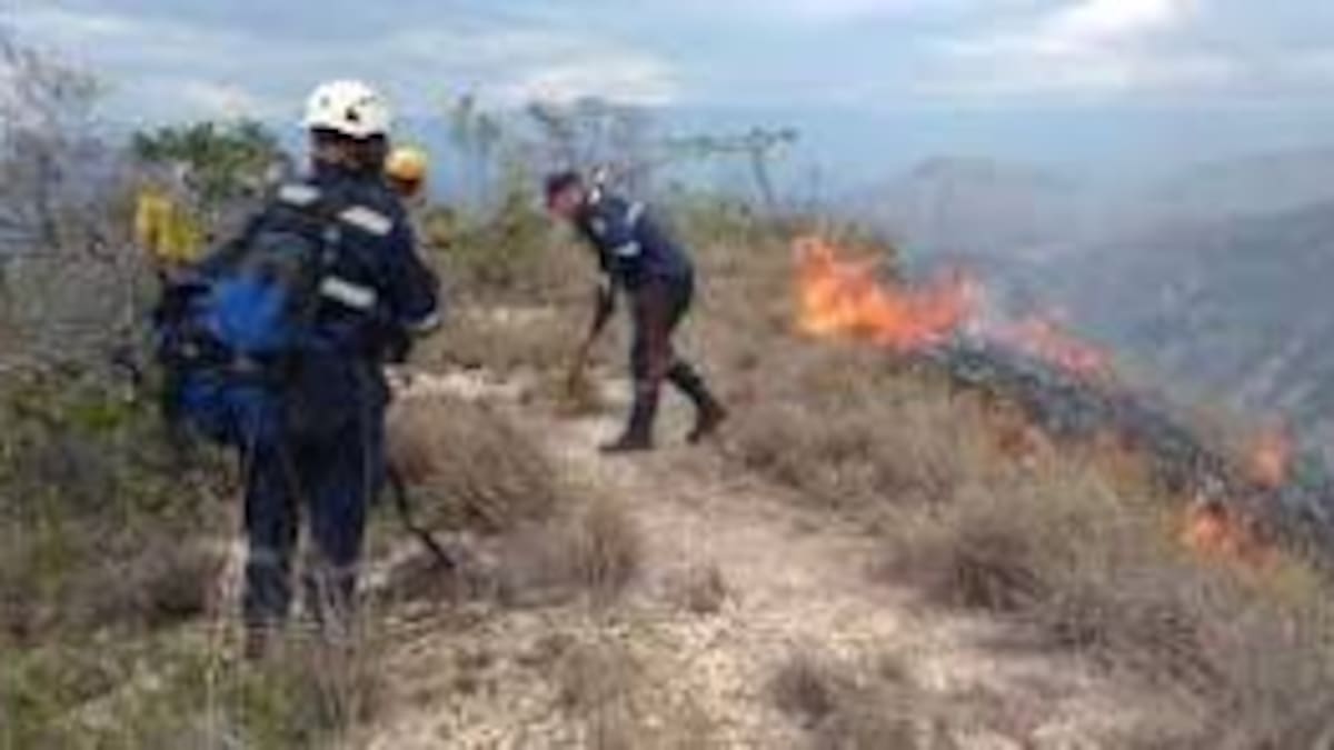 Más de 50 incendios forestales registrados en el 2024 en Pitalito-Huila