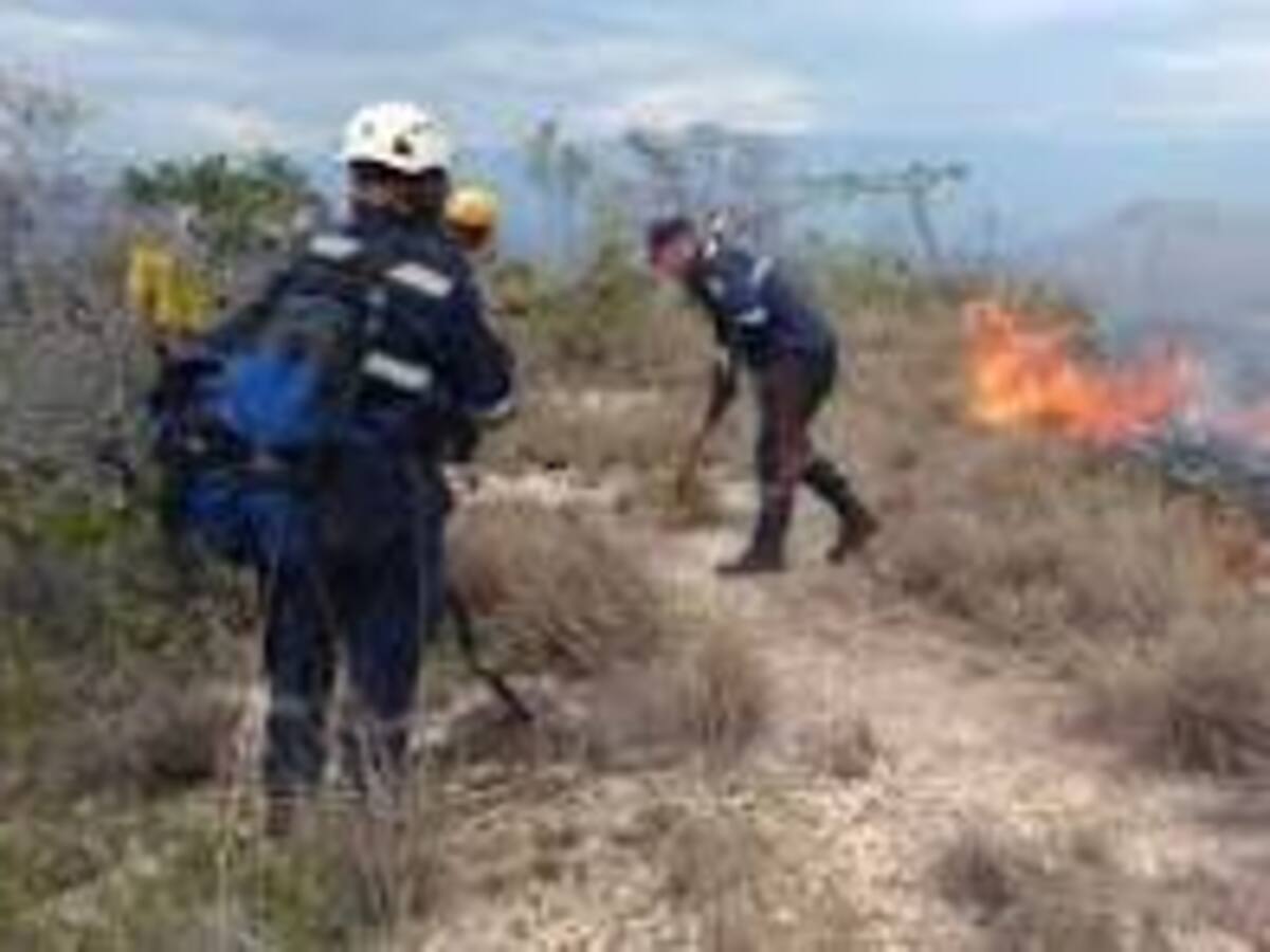 Más de 50 incendios forestales registrados en el 2024 en Pitalito-Huila
