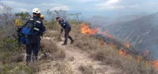 Controlado incendio forestal en Pitalito.