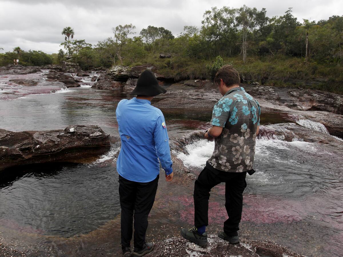 Líderes ambientales exigen garantías de seguridad para su labor
