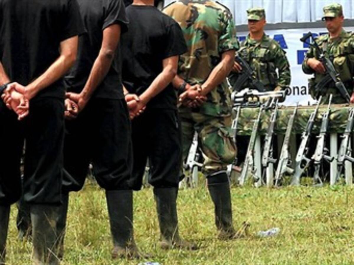 En 10 años se desmovilizaron 17.000 guerrilleros: consejero de seguridad