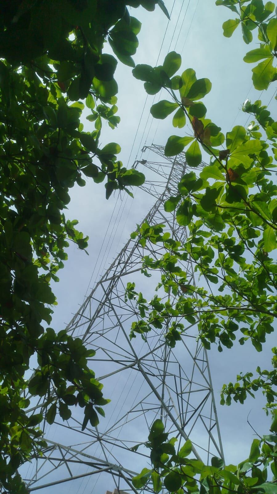 Rescatan con vida al hombre que permanecía en la parte alta de una torre de energía en Barranquilla