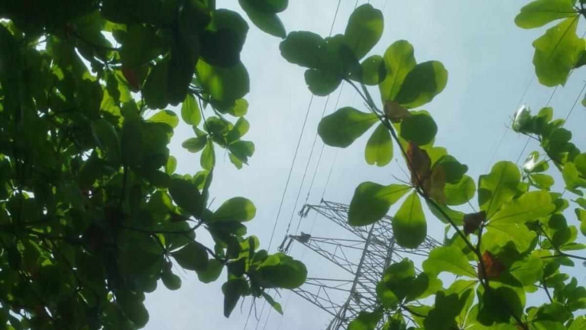 Rescatan al hombre que permanecía en la parte alta de una torre de energía en Barranquilla