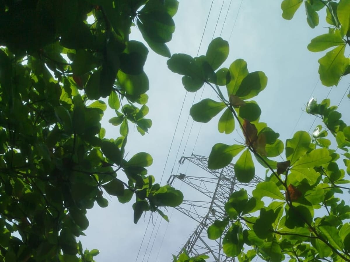 Rescatan al hombre que permanecía en la parte alta de una torre de energía en Barranquilla