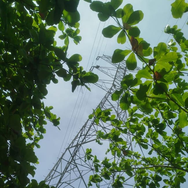 Rescatan con vida al hombre que permanecía en la parte alta de una torre de energía en Barranquilla