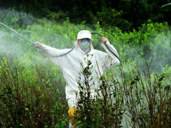 En febrero se extenderá en el país la fumigación manual con glifosato