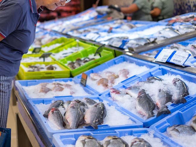 Persona observando los pescados expuestos en un mercado (Foto vía Getty Images)
