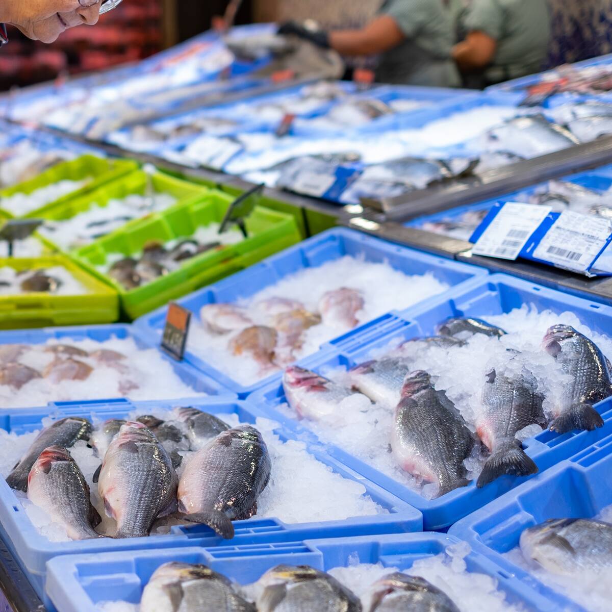 ¿Cuál es el pescado más saludable del mundo? Lo venden en Colombia