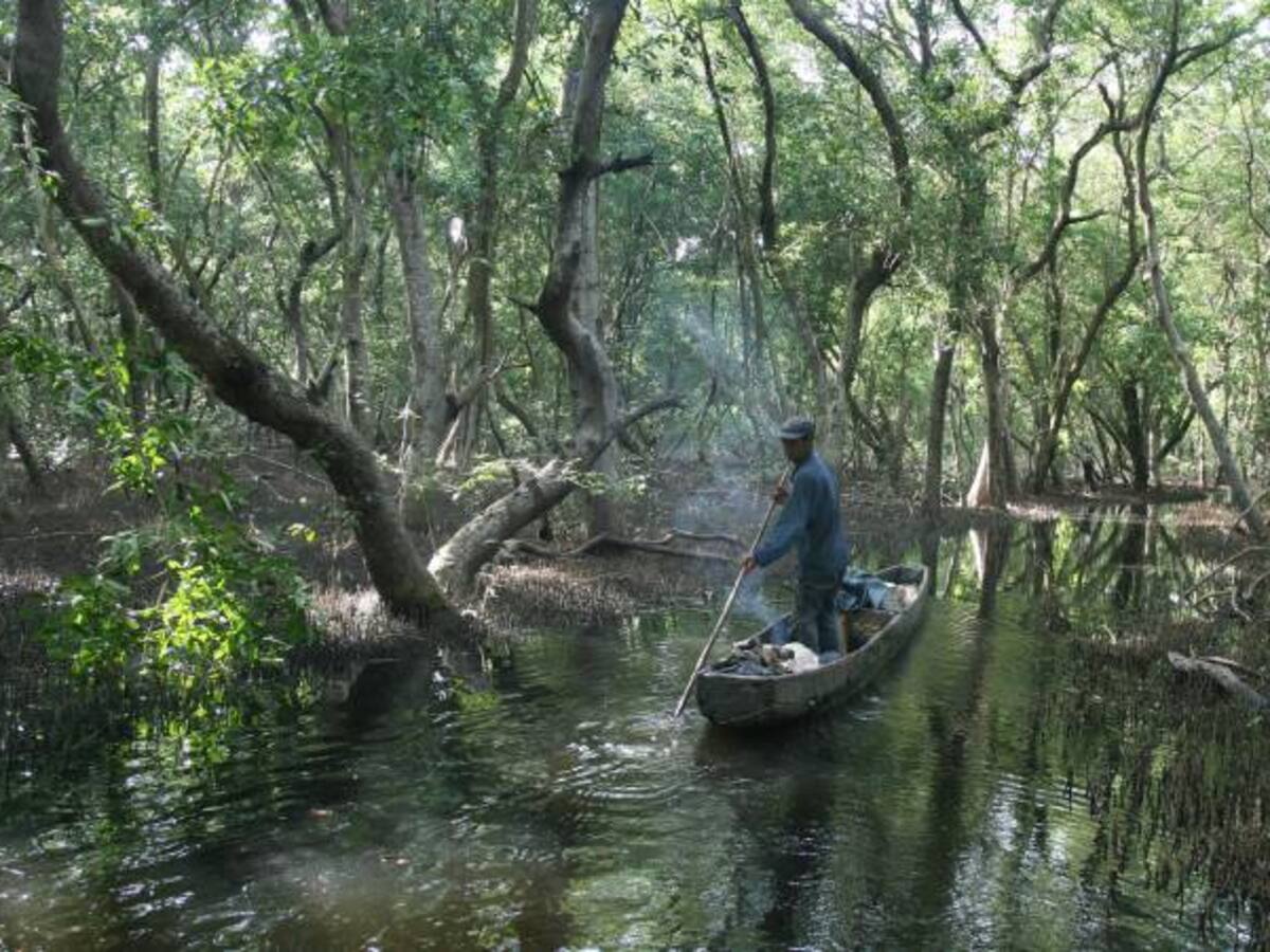 Procuraduría exige a Minambiente preservar la Ciénaga grande de Santa Marta