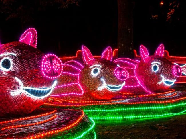 En Medellín se encienden 27 millones de bombillas del alumbrado navideño