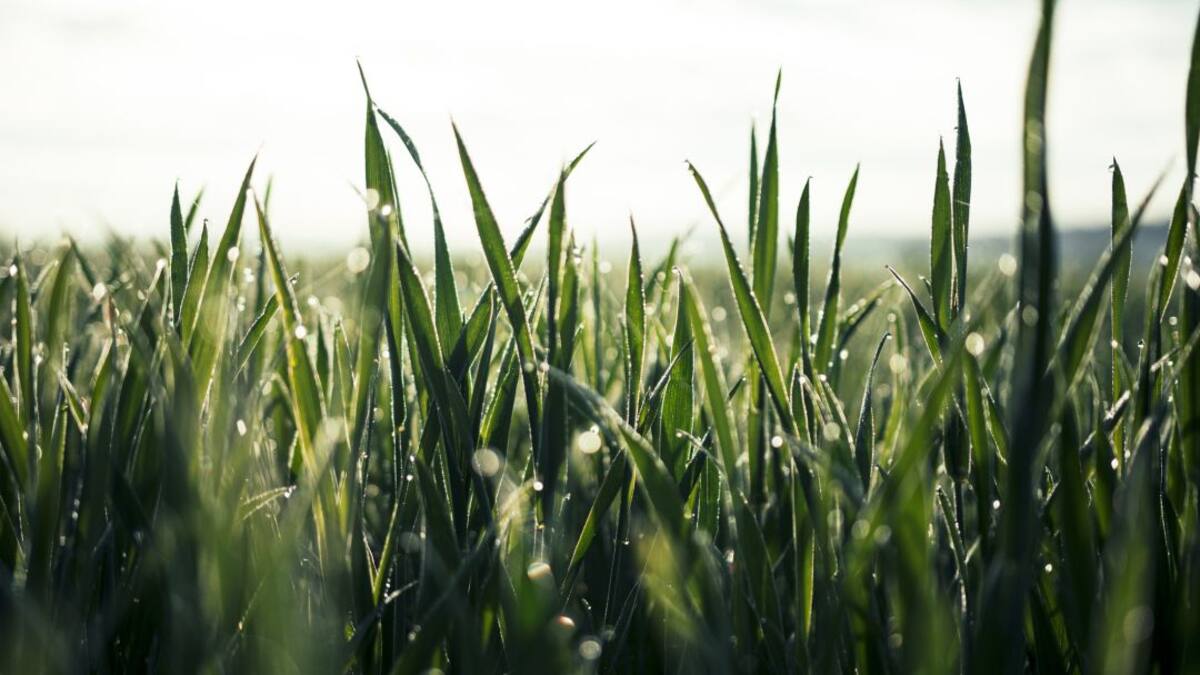 Más lluvias fuertes, causadas por La Niña, le esperan al agro colombiano