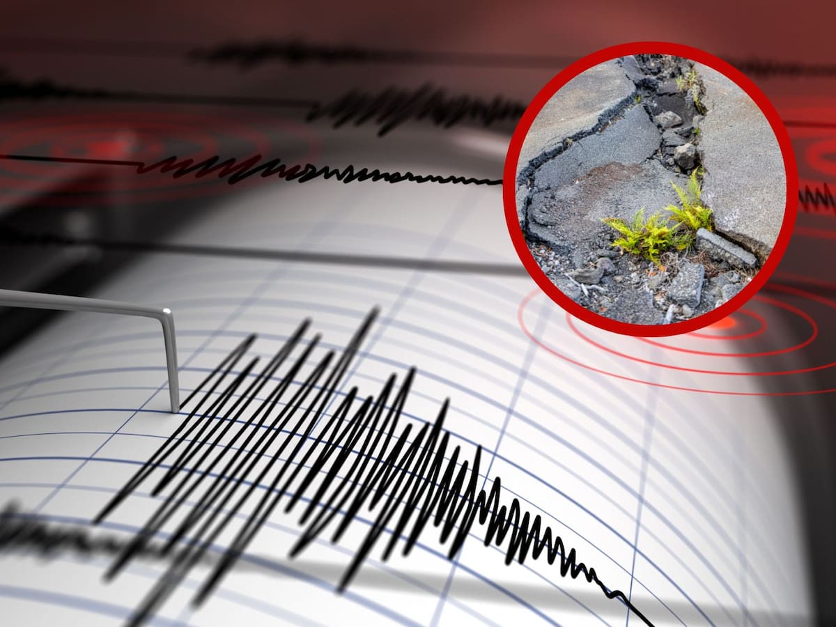Temblor en Colombia: ¿Qué debe hacer antes, durante y después de un sismo?