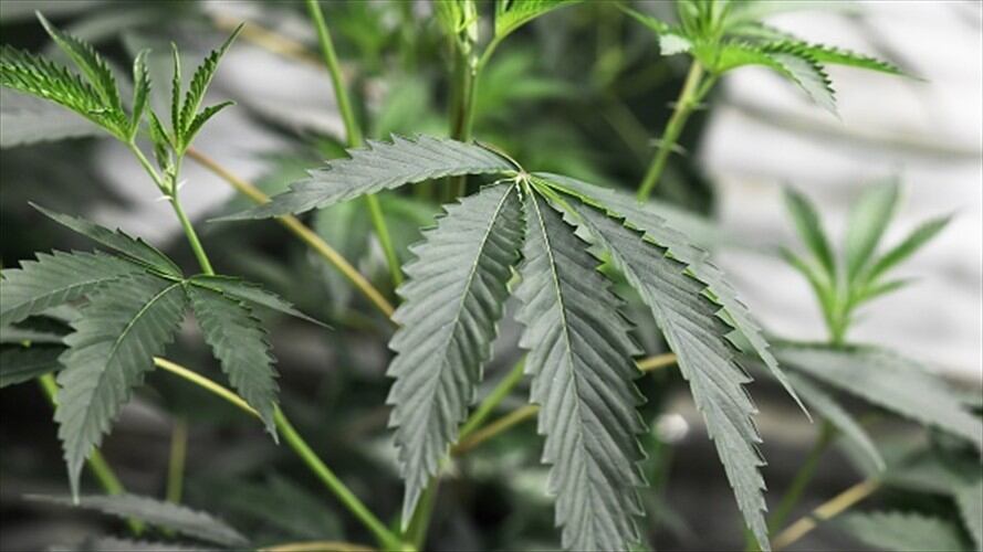 Imagen de referencia . Foto: Getty Images