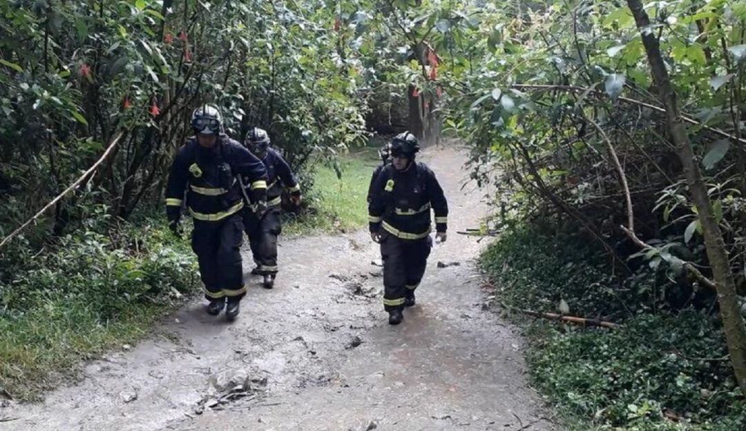 Los bomberos de Melgar y Carmen de Apicalá participaron del operativo. 
